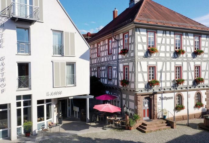 Bild 16