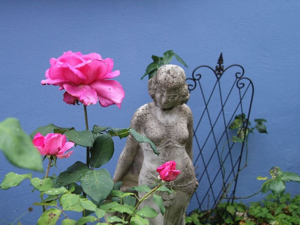 Bed & Breakfast No. 31 im Rosengarten Im Rosengarten