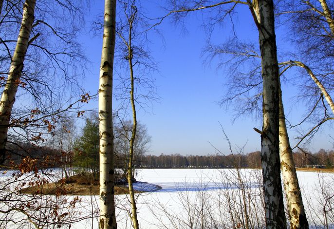 Bild 13