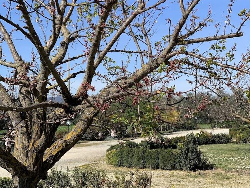 Villa Il Crocicchio