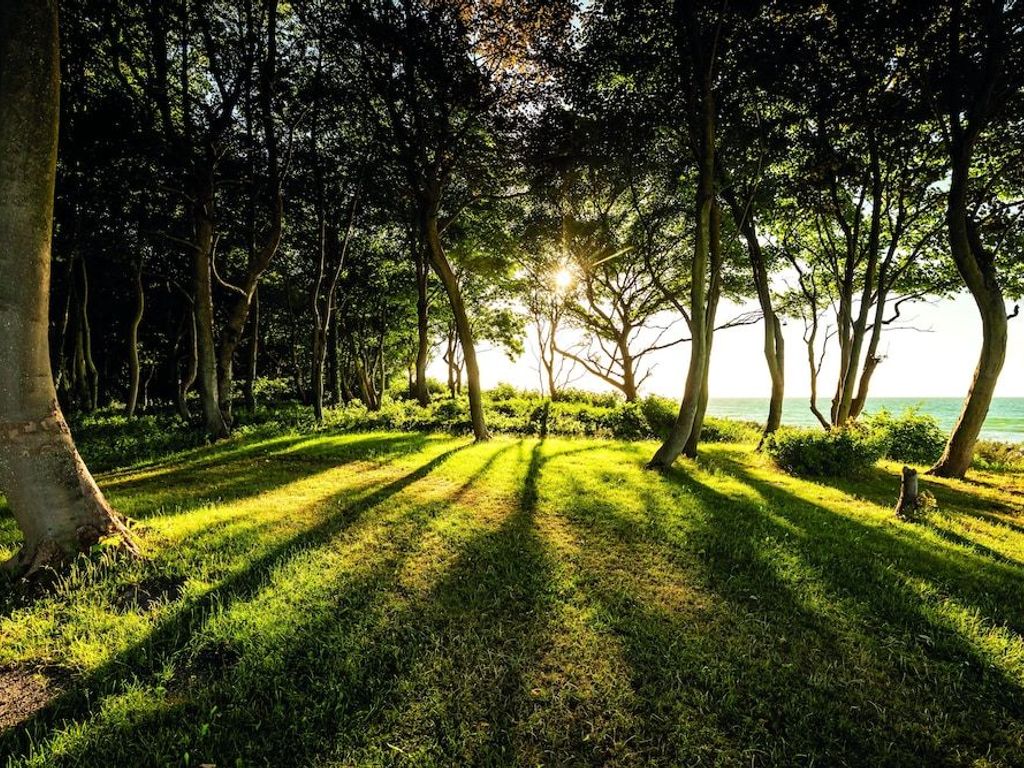 WEISSENHAUS Private Nature Luxury Resort