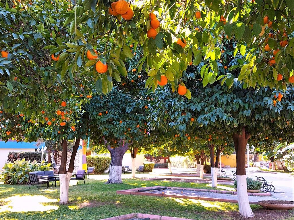 Cetinel Tesisleri Green Club Hotel