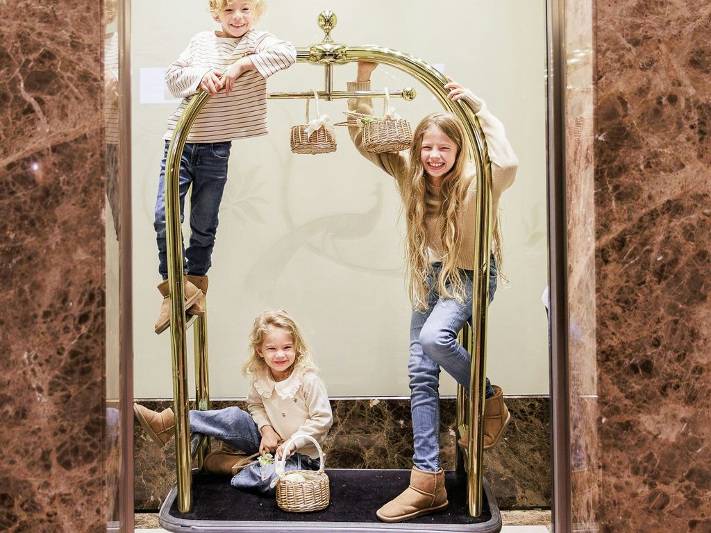 The Ritz-Carlton Vienna