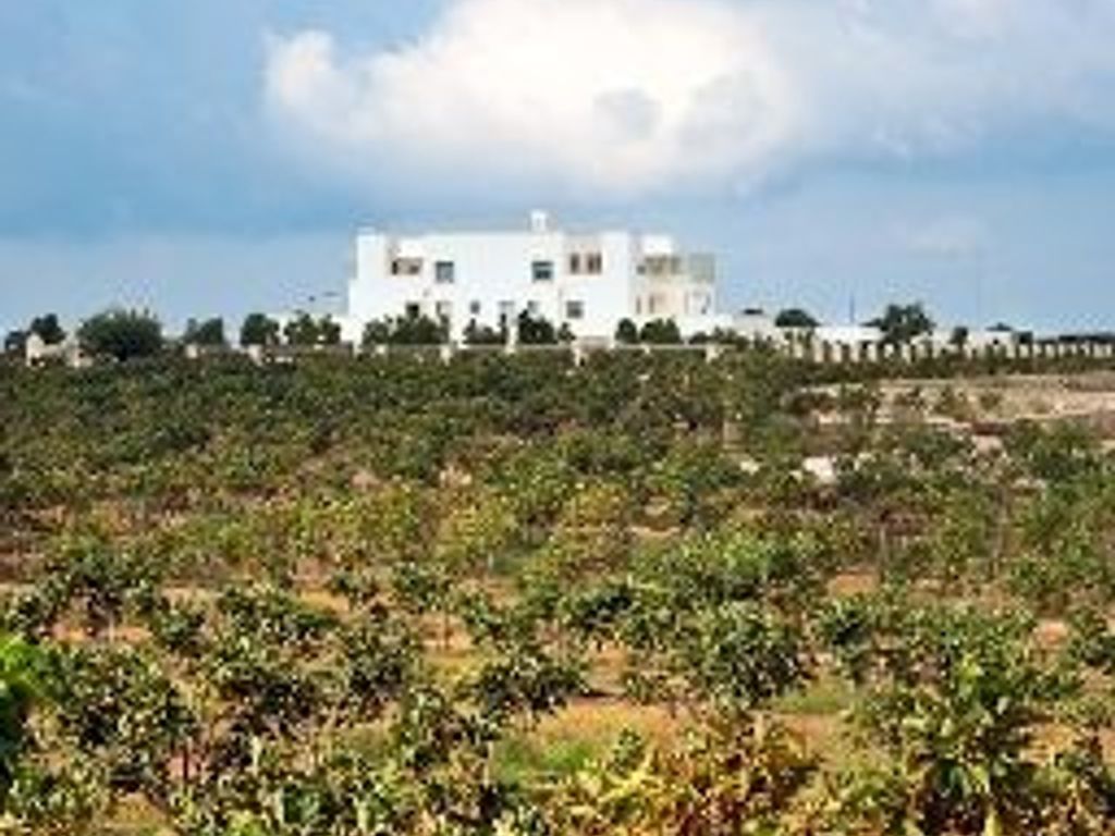 Furnirussi Tenuta