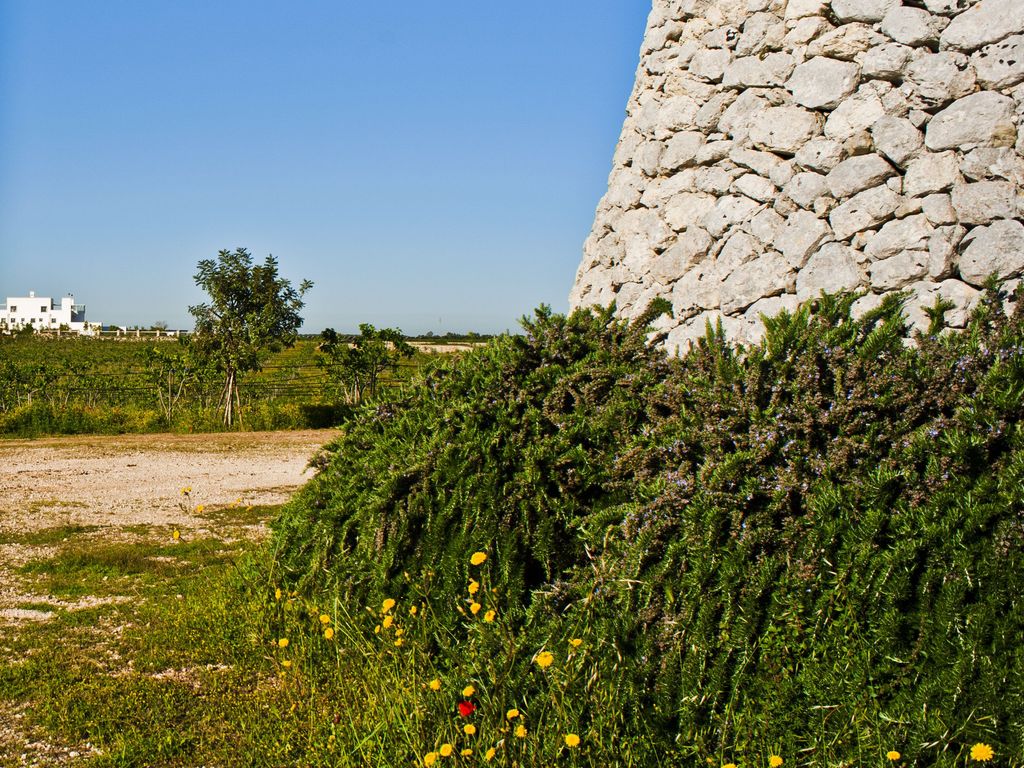 Furnirussi Tenuta