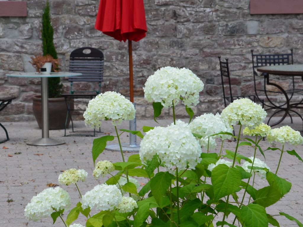 Wersauer Hof Ferme Auberge