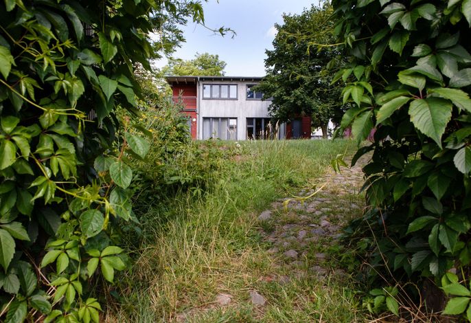 Bild 16