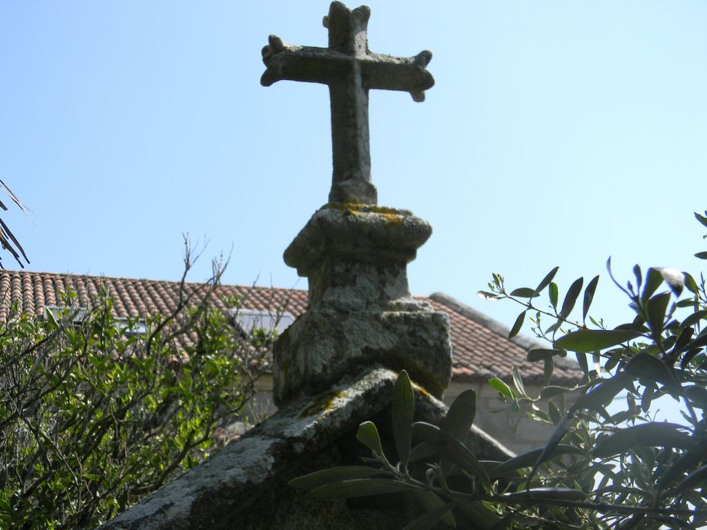 Pazo Carrasqueria