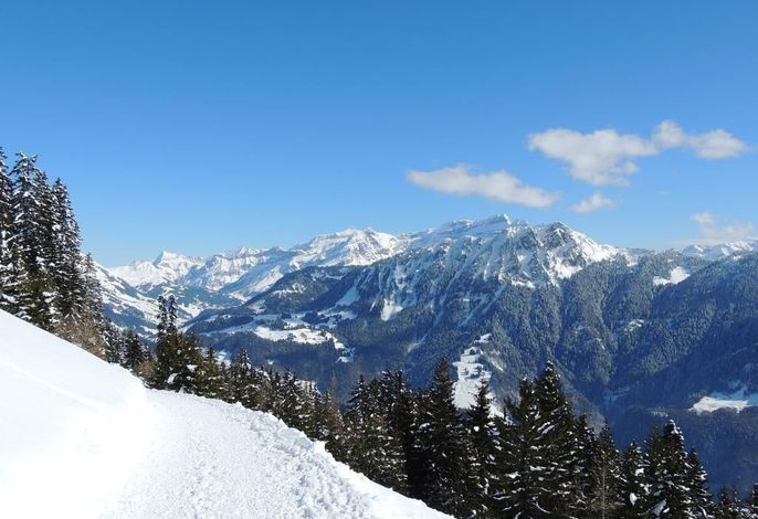 Bild 14