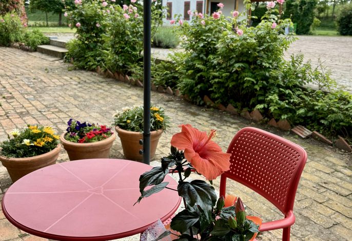 Bild 15