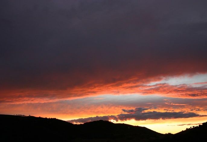 Bild 98