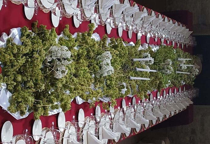 Bild 39