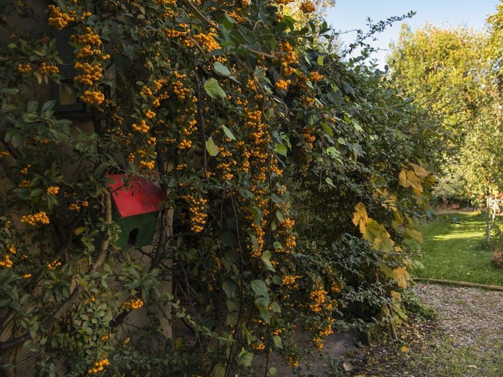 Al Porto di Lucca B&B