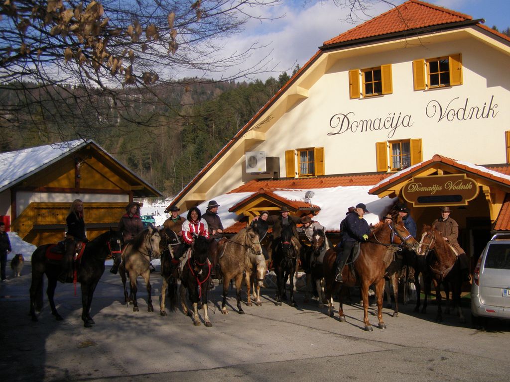 Pension Vodnik