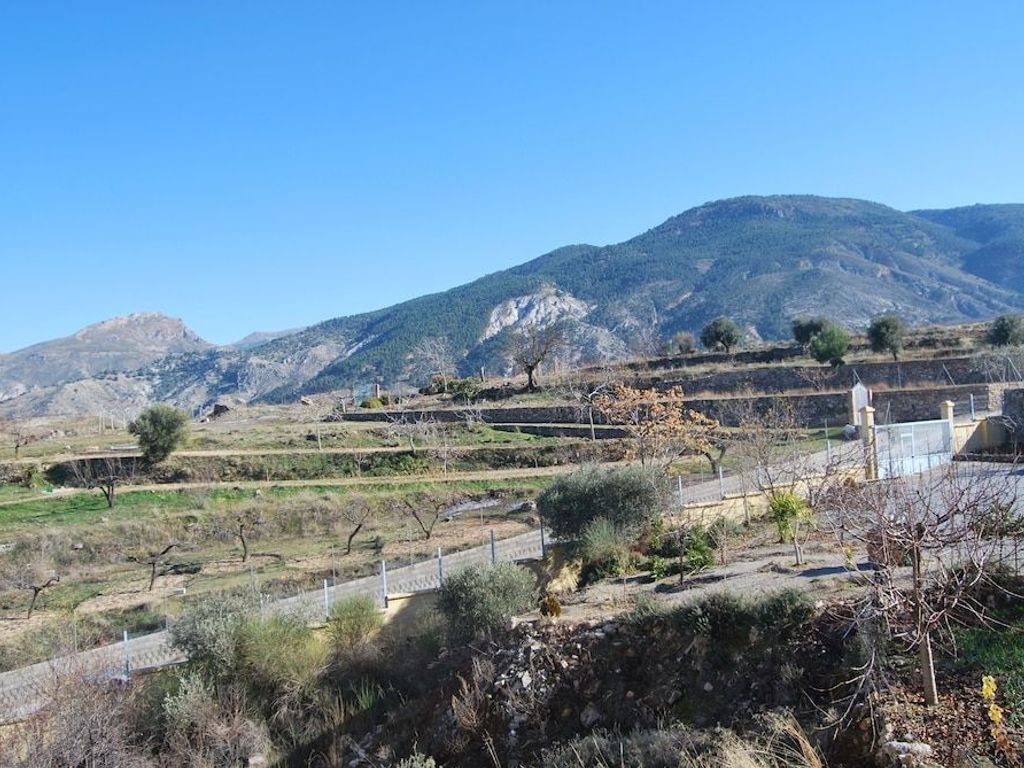La Encina Centenaria