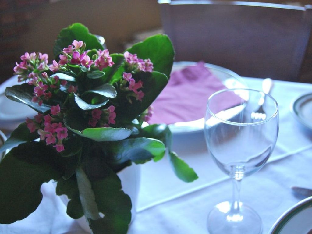 La Encina Centenaria