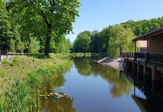 Bild 10
