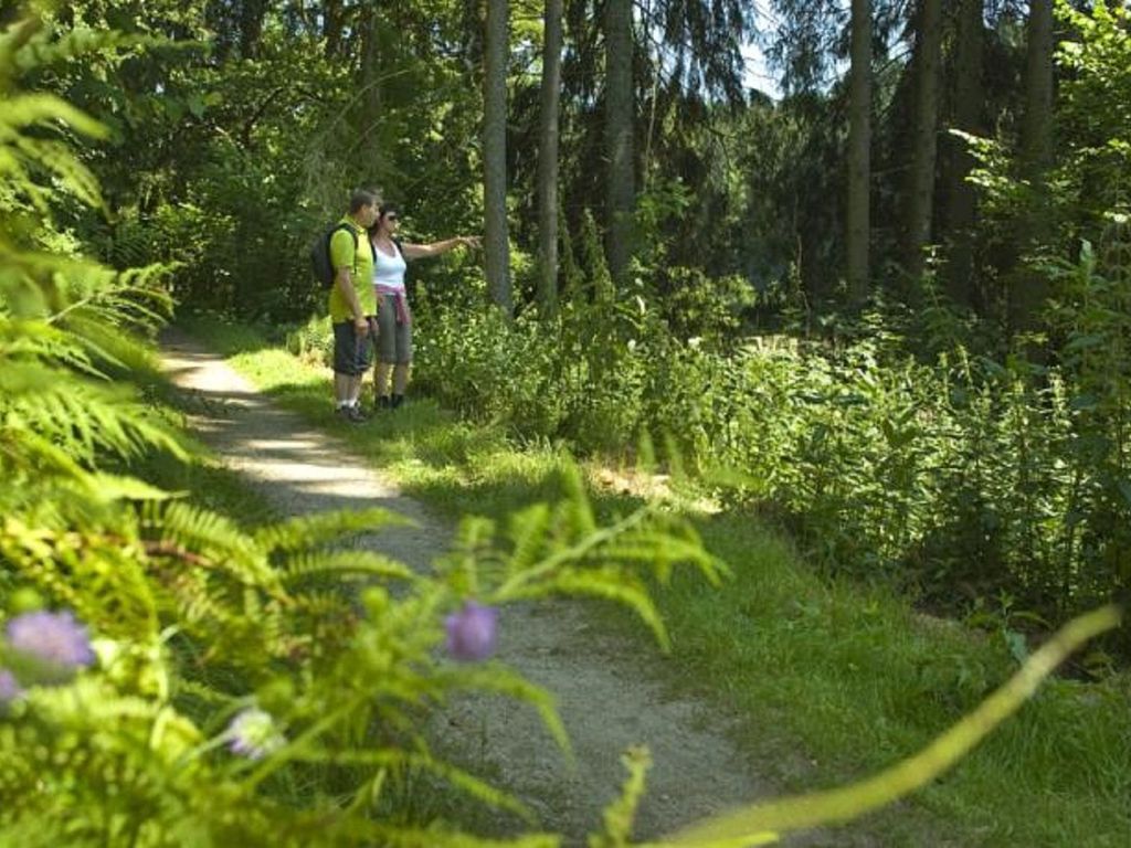 Pension Bergstub'n