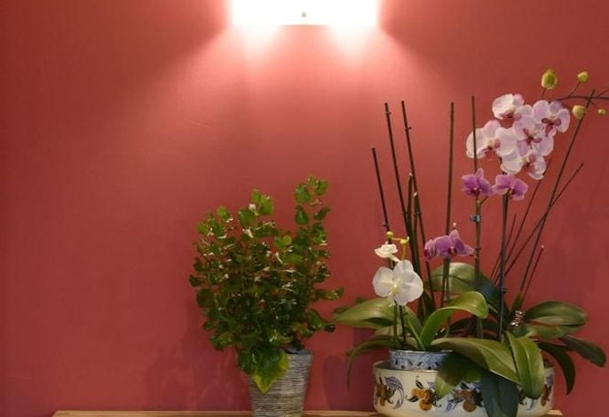 Bild 43