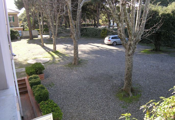Bild 12