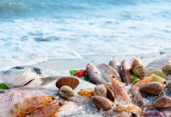 Bild 83