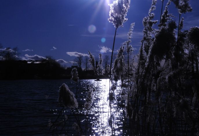 Bild 7