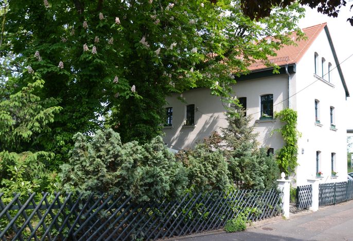 Bild 15