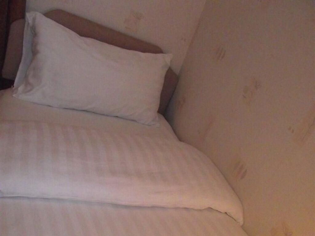 Fortuna Hotel- Near Pleasure Beach