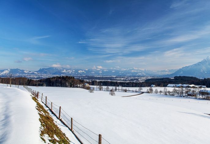 Bild 18