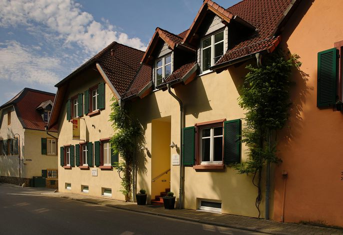 Bild 13