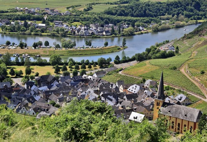 Bild 11