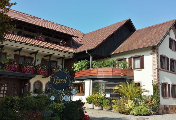 Bild 2
