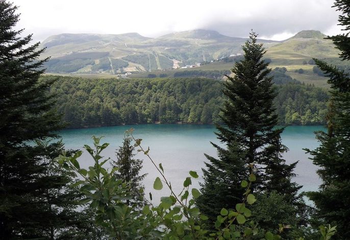 Bild 15
