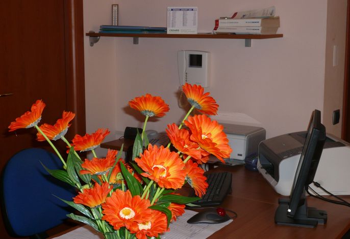 Bild 14