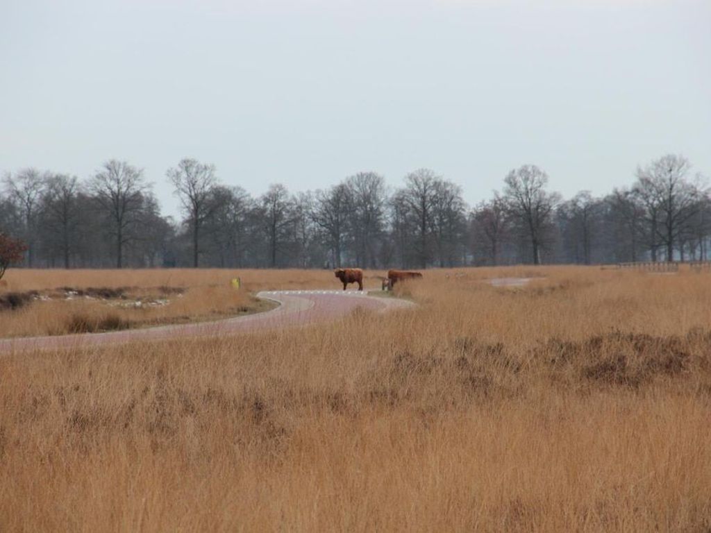 De Wapser Herberg