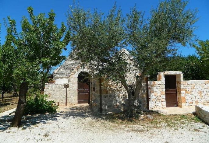Bild 14
