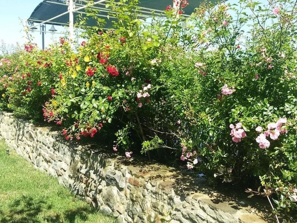 Villa La Mucchia Cortona