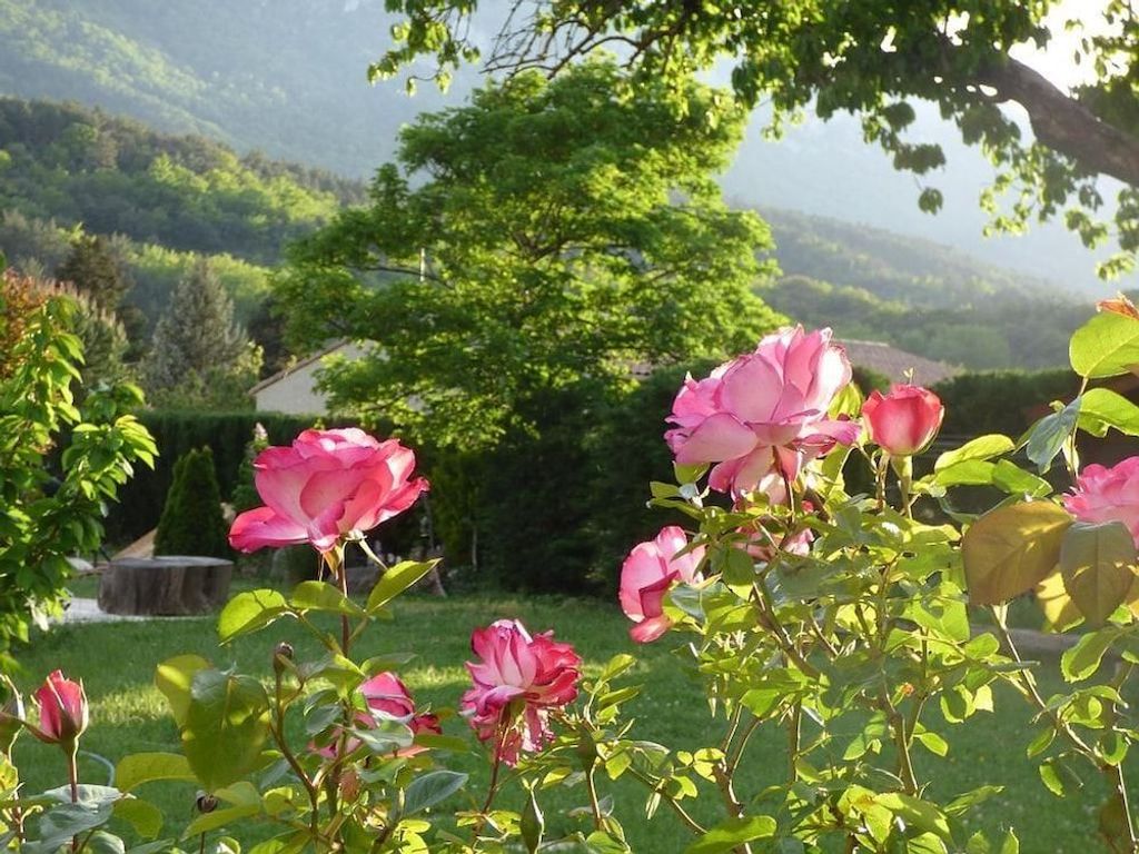 Rose des Pyrénées