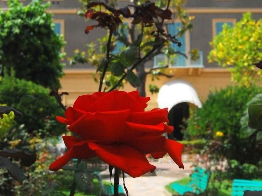 Hotel Villa Sophia