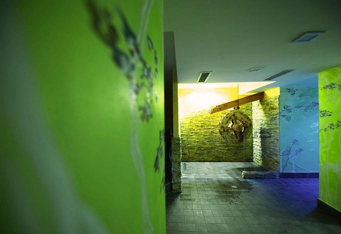Bild 51