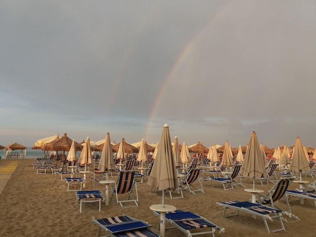 Le Cicale