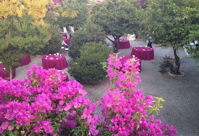 Bild 81