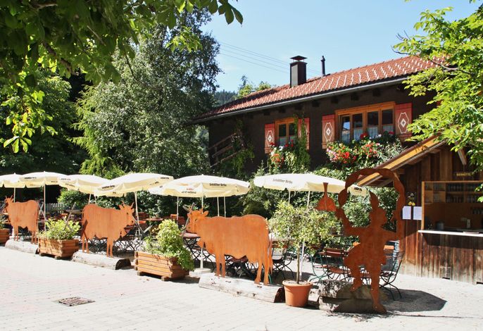 Bild 16