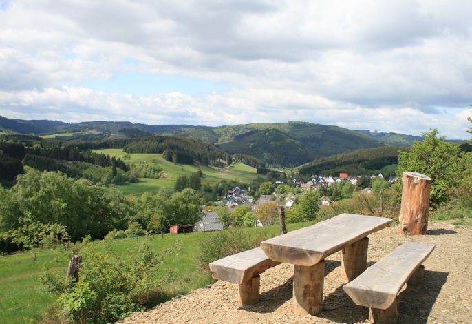 Bild 42
