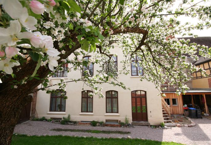Bild 11