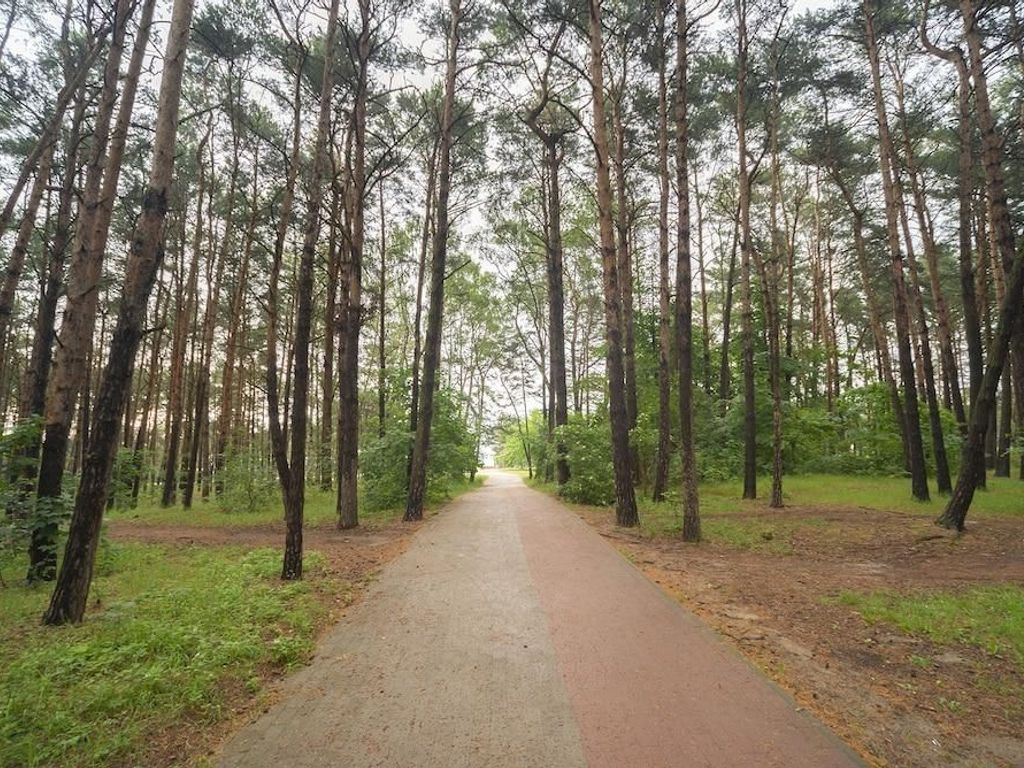 Little Home - Neptun Park