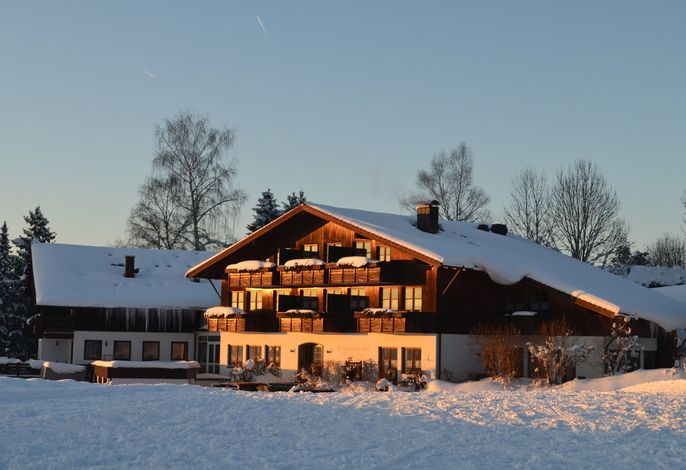 Bild 15