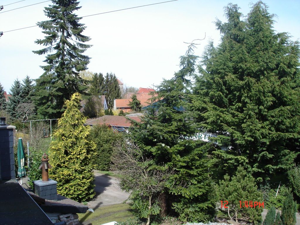 Schwanenteich Pension
