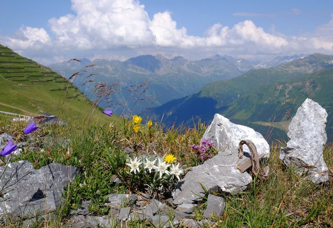 Bild 74