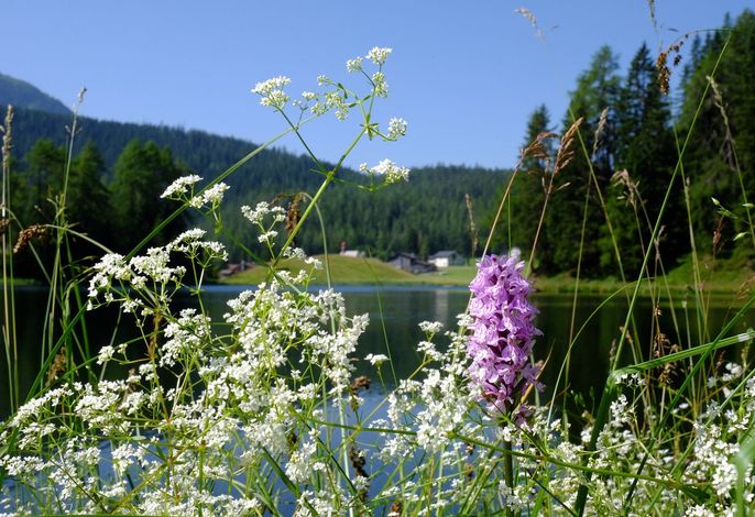 Bild 57